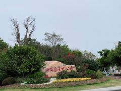 -五缘湾湿地公园