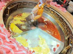 牛蛙-蜀大侠火锅(森兰花园城店)