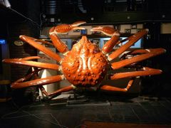 -蟹之国·精品蟹料理(极地店)