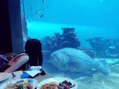 -海棠湾洲际-涛·海底餐厅·美人鱼·自助餐·海底隧道