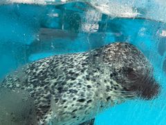 -沈阳森林动物园