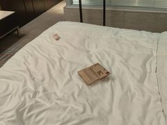 -上海龙之梦万丽酒店