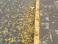 -包装马车·韩国料理·포장마차