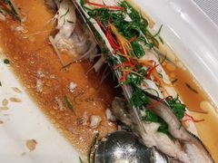 -春天来了(印象新天地店)