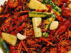 -杨氏青龙虾·羊蝎子(珠江路店)