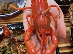 -星记小馆·小蓝龙·老南京砂锅菜(上海路店)