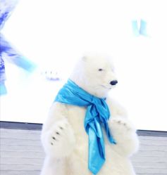 -Mr·Kuma酷么先生雪之乐园