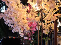 大堂-莫太花餐厅(河北路店)