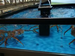 -麦德龙(郑东店)