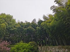 -上海市保健医疗中心