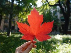 -清华大学艺术博物馆