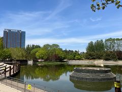 -大望京公园