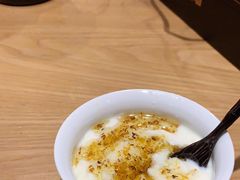 -古树酸奶(八廓南街店)