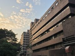 -香港大学