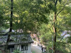 -岳麓山风景名胜区