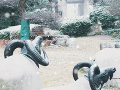 -恒大御景湾