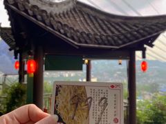 -南山植物园