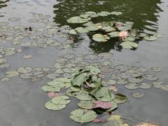 -良渚古城遗址公园