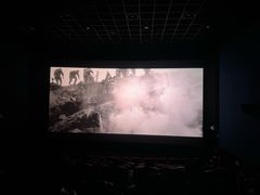 -万达影城(湛江万达广场IMAX店)