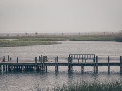 -太湖湖滨国家湿地公园-停车场