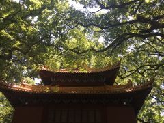 -普陀山风景名胜区-法雨禅寺
