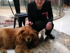 -青年公社烤鸭(蜀山万象汇店)