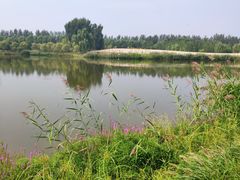 -东郊湿地公园