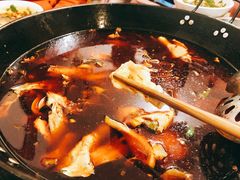 -仔耳朵冷锅鱼蛙芋儿鸡(莲花东路店)