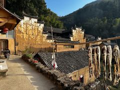 -杨家堂村