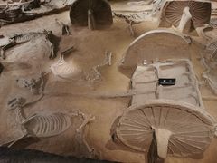 -洛阳周王城天子驾六博物馆