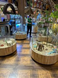 -卡通尼·Safari非洲探索乐园·生日会(金桥国际商业广场店)