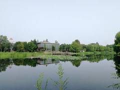 -望湖公园
