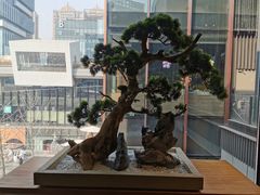 -享月汤皇·海鲜小火锅·聚会(曲江创意谷店)