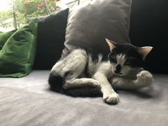 -虚荣精酿酒屋(五羊店)