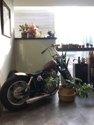 -極致刺青TATTOO STUDIO 私人订制