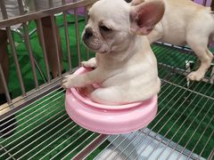 -重庆国际会议展览中心