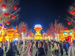 -淄博花灯齐彩城