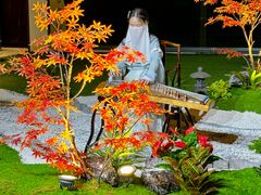 -九朝会昆曲·宴(望京店)