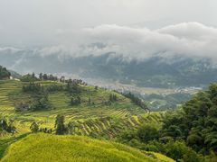 -紫鹊界梯田景区