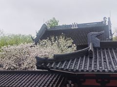 -寒山寺