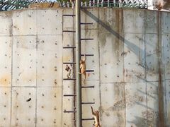 -无锡动物园·太湖欢乐园