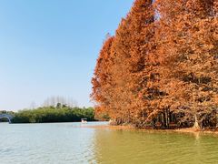 -上海海湾国家森林公园