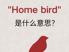 -菠萝国际教育专注Alevel·IGCSE·IB·AP·托福雅思培训辅导(静安校区)