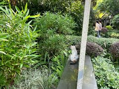 -晓港公园
