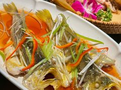 -前海沿·青岛菜(大拇指广场石老人店)