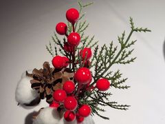 -佐度王子扒房(天鹅湖店)