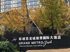 -常州环球恐龙城维景国际大酒店