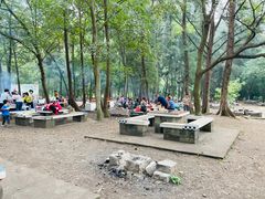 -南宁良凤江国家森林公园