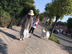 -美兰湖景区