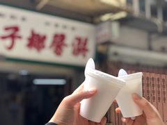 -洪馨椰子